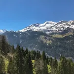 Daire Racer's Retreat Apt-12 By Interhome Wengen